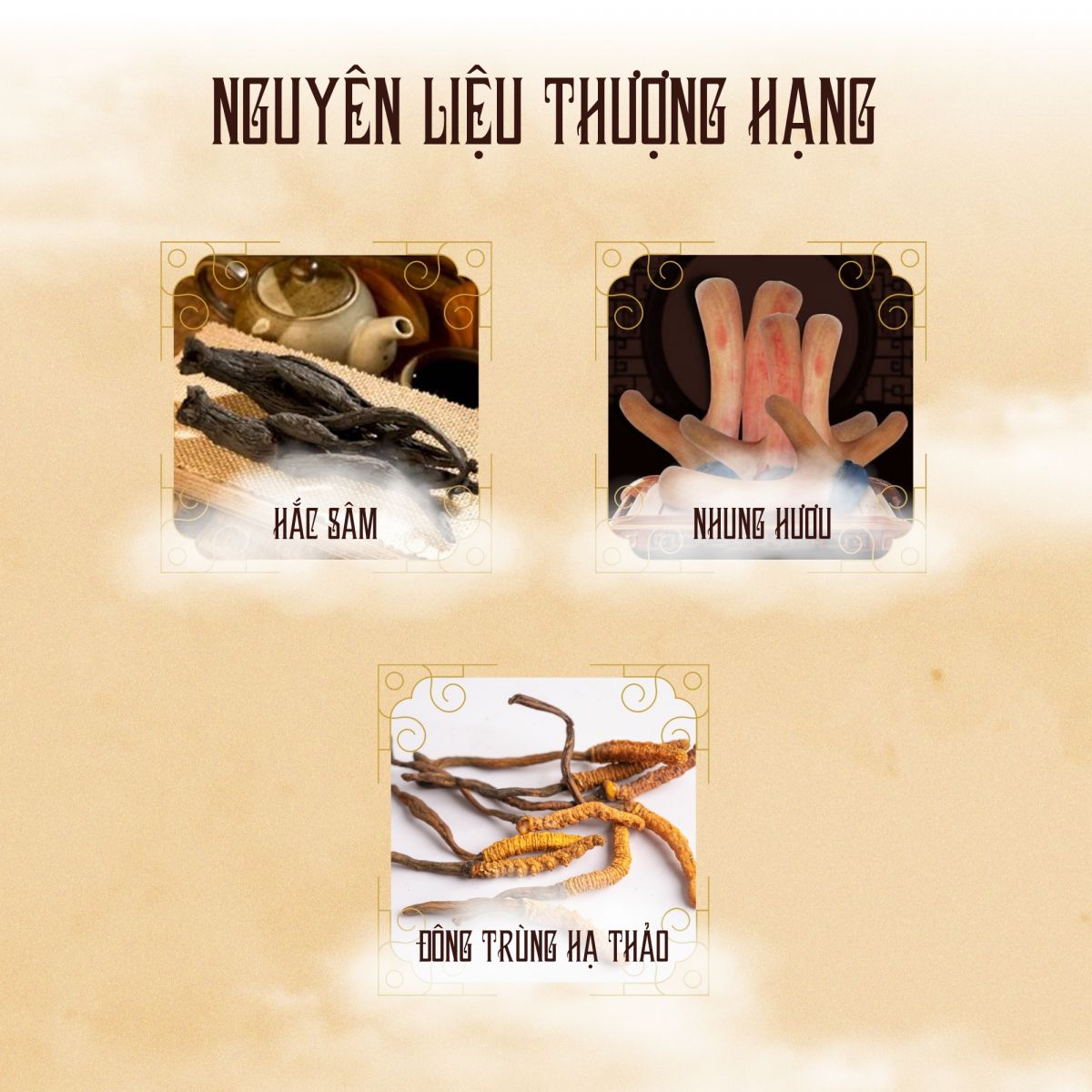 NƯỚC HẮC SÂM NHUNG HƯƠU ĐÔNG TRÙNG HỘP 30 GÓI X 50 ML HÀN QUỐC